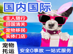 昆冈航空空运国际宠物托运 【国